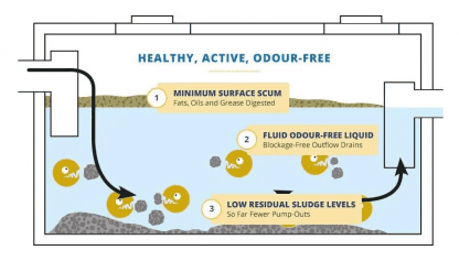 What is Septic Sludge? | The Cause & How You Can Manage It!