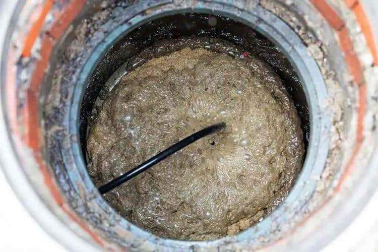 how-to-stop-clogged-septic-tank-drain-pipe-muck-munchers