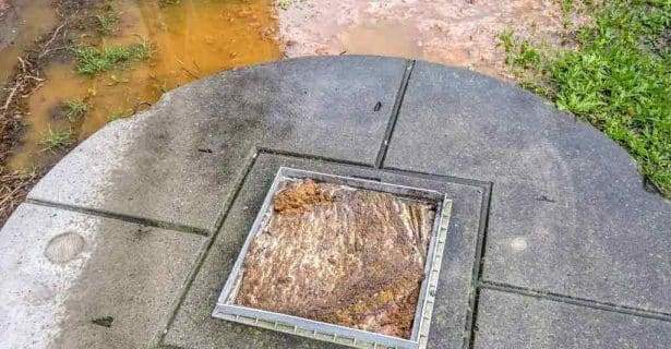 septic tank overflowing with water